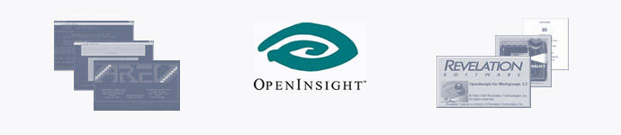 OpenInsight